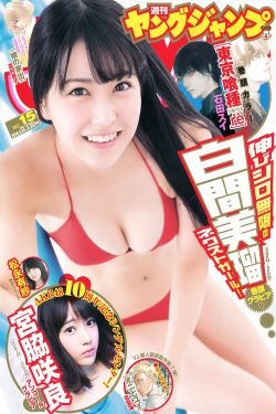 农夫导航小说